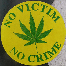No Victim No Crime No Victim No Crime sticker